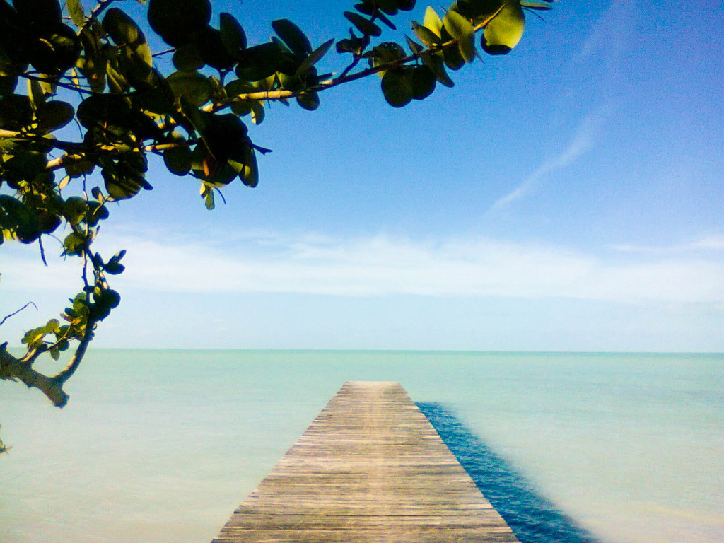 muelle de madera