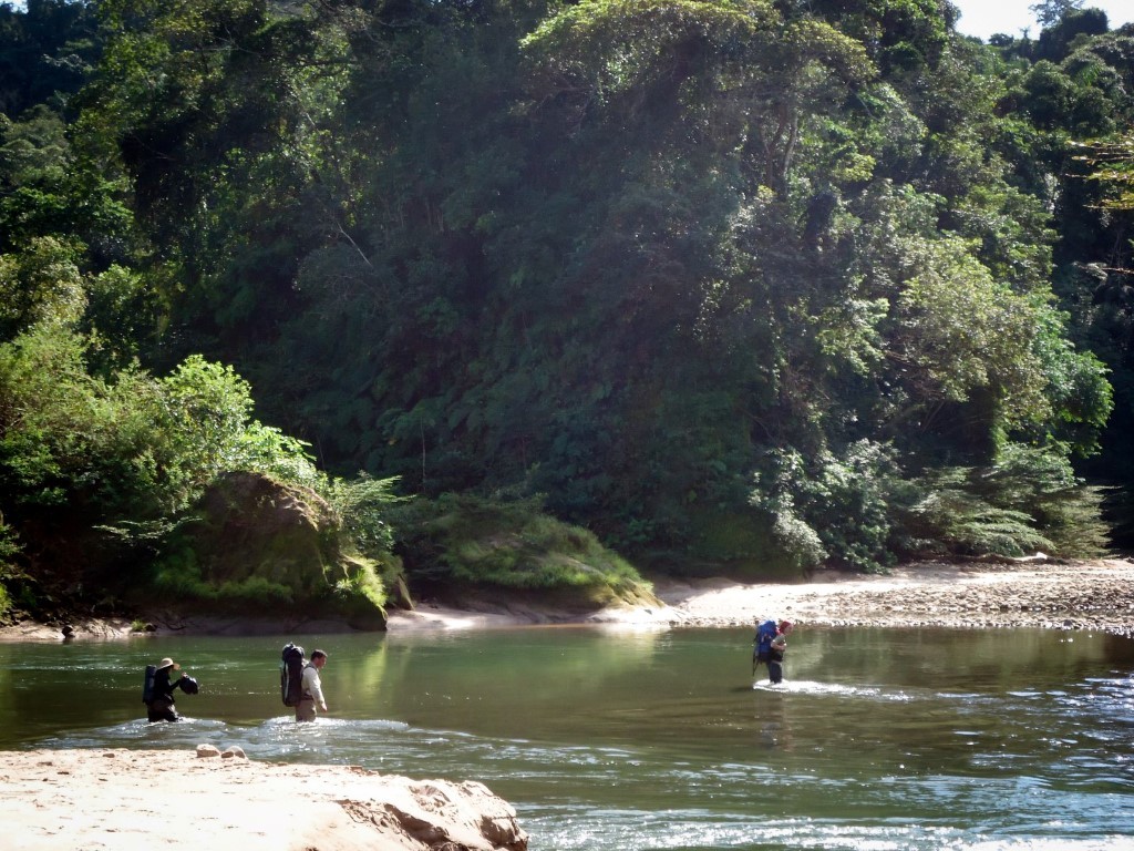pescando con mosca en el rio Isiboro (Medium)