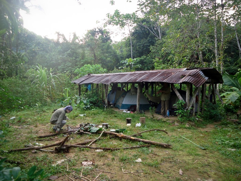 campamento cocalero (Medium)