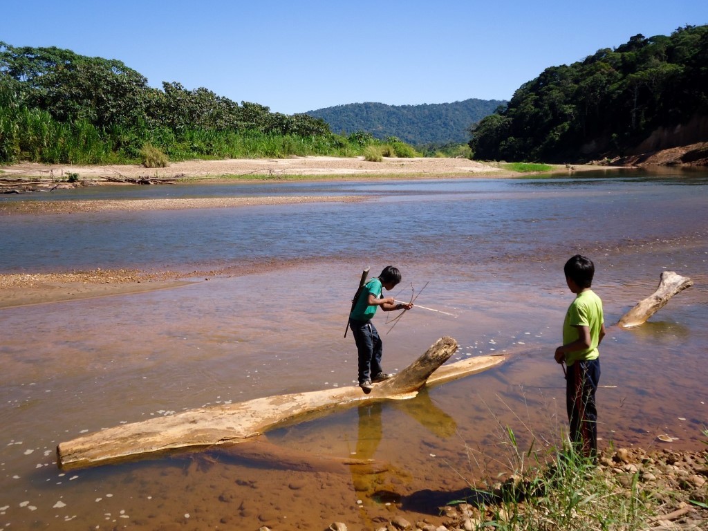 niño idígenas yuracaré pescando con arco y flecha en el río Moleto del TIPNIS (Medium)