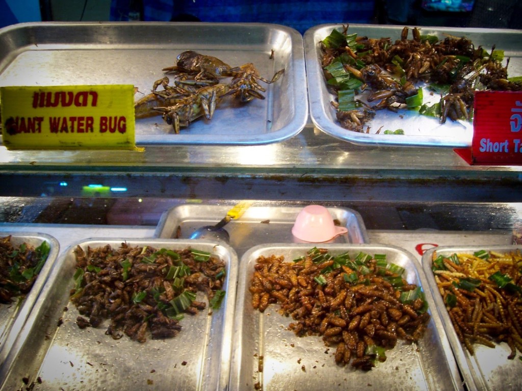 comer cucarachas en Tailandia