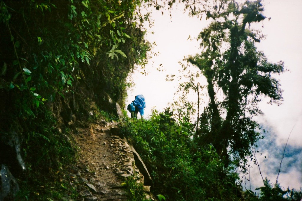 más camino del inca (Medium)