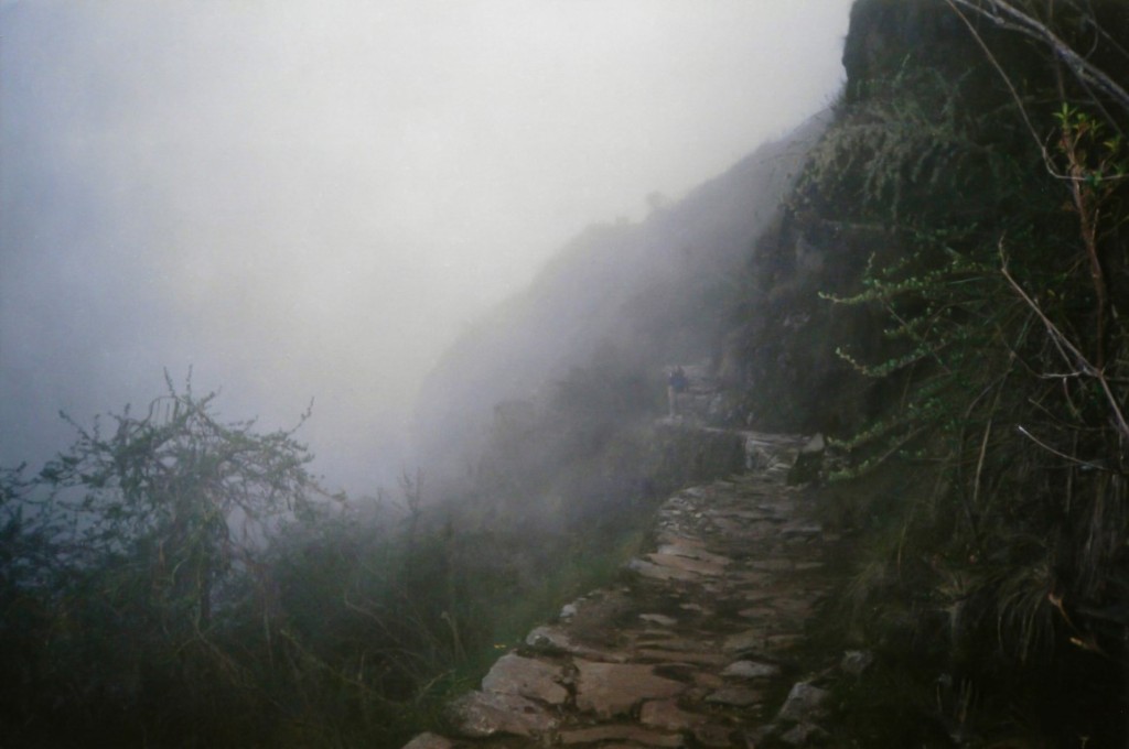 niebla en el camino del inca (Medium)