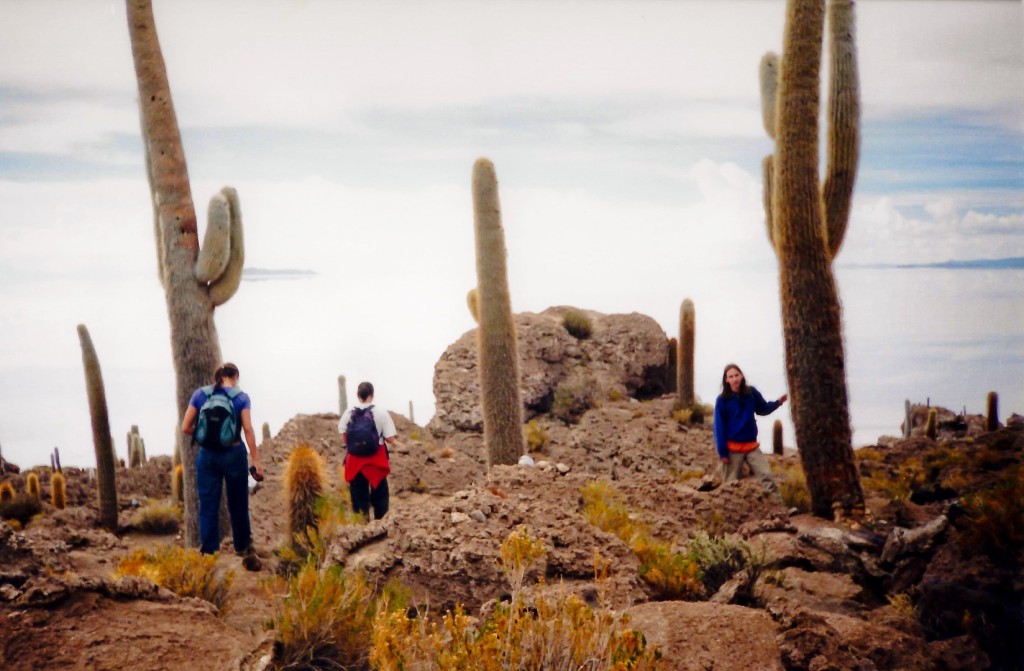 Isla del Pescado del salar de Uyuni