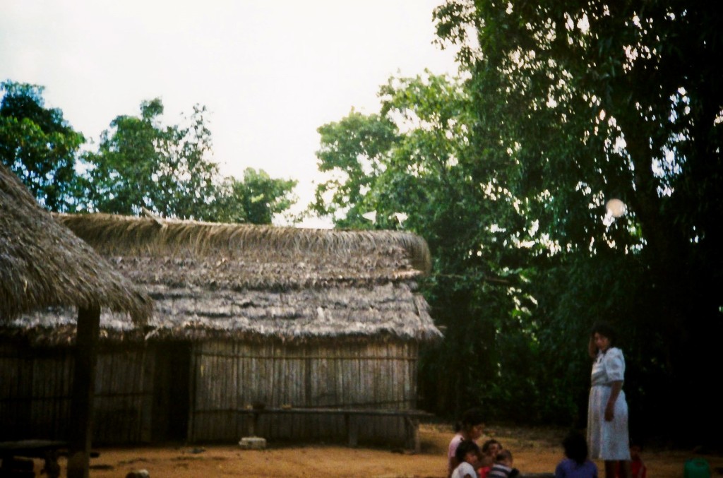 originarios bolivianos