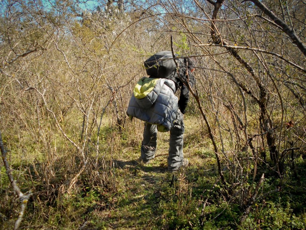 camino espinoso