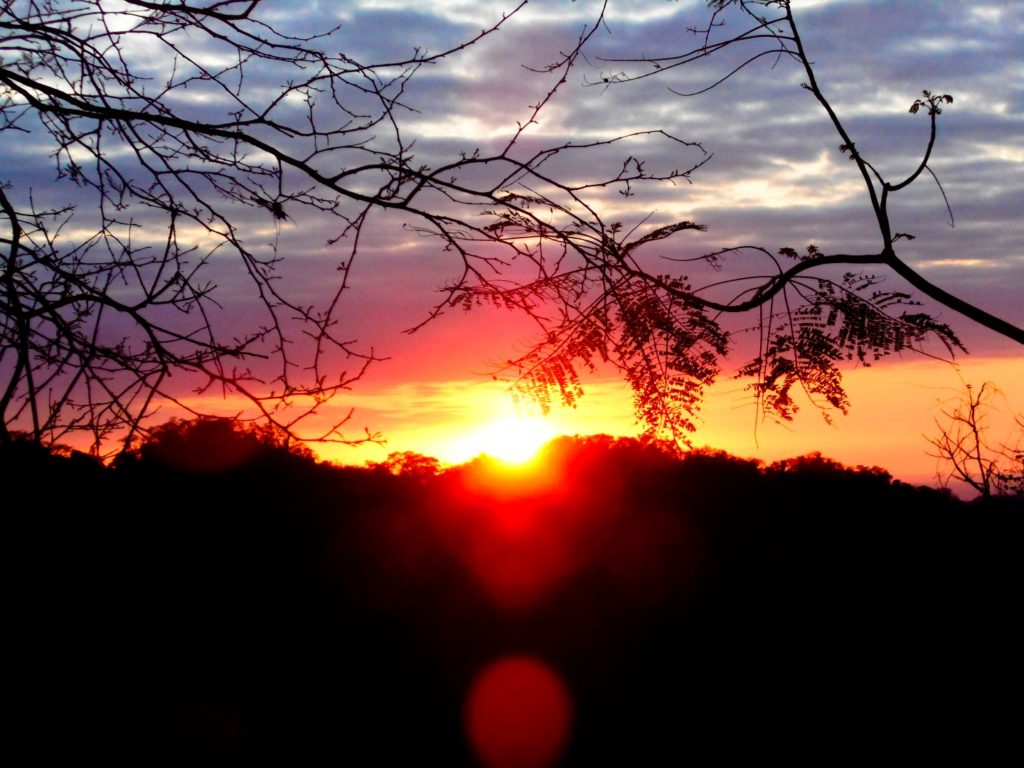 amanecer-en-parque-nacional-calilegua