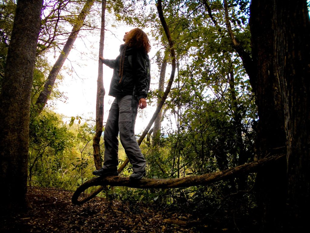 vanesa-olivieri-en-el-parque-nacional-calilegua