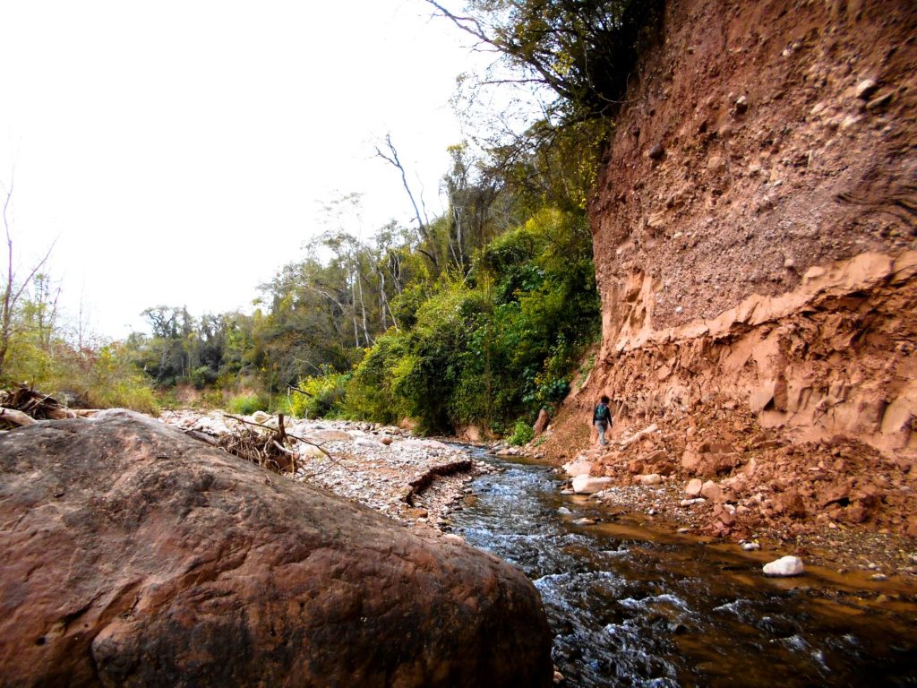 rio-aguas-negras-parque-nacional-calilegua