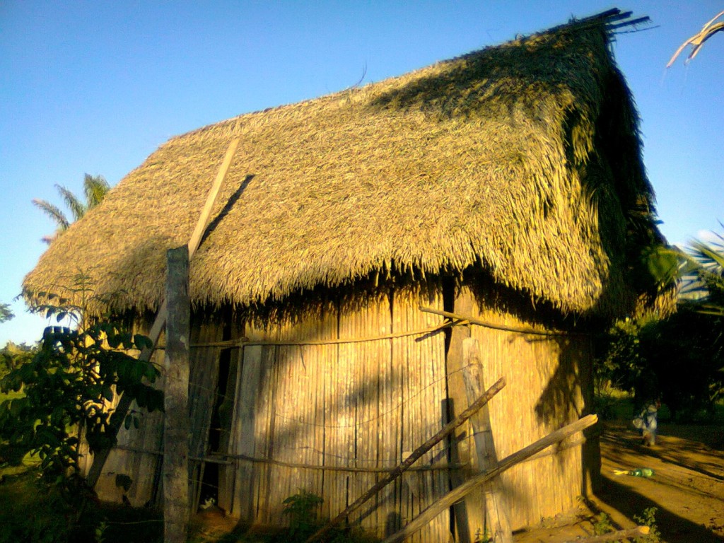 choza de caña